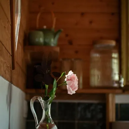 Tinyhouse Insolite - Au Bout Du Chemin - 10 Min De Foix Baulou